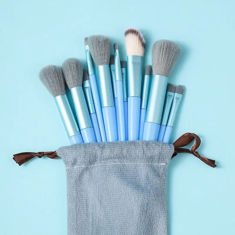 13 PCS LOT Makeup Brushes Set